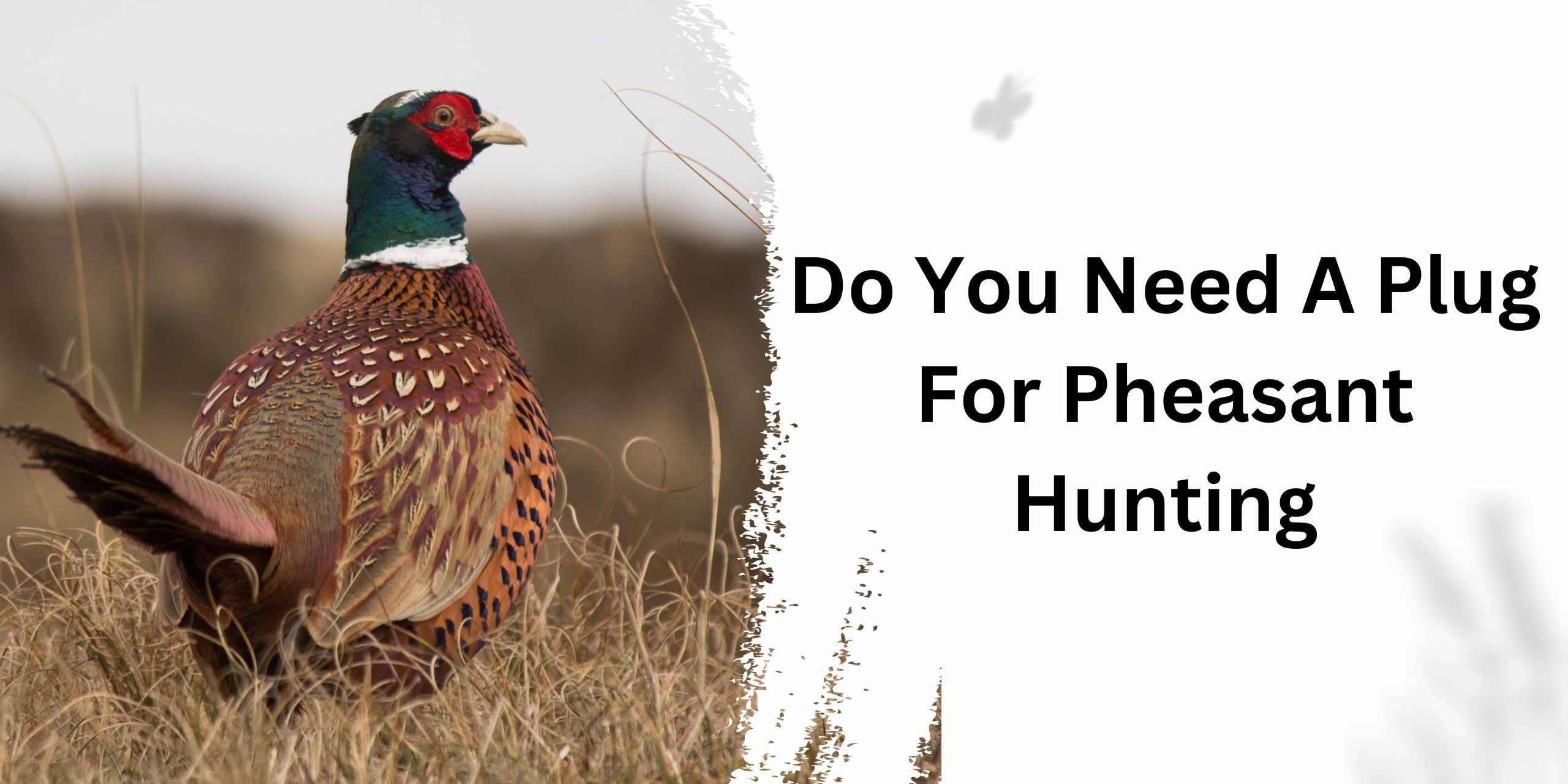 Do You Need A Plug For Pheasant Hunting