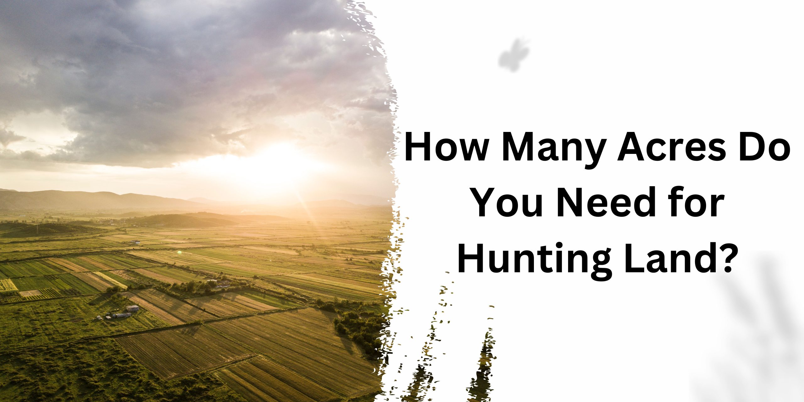 How Many Acres Do You Need for Hunting Land