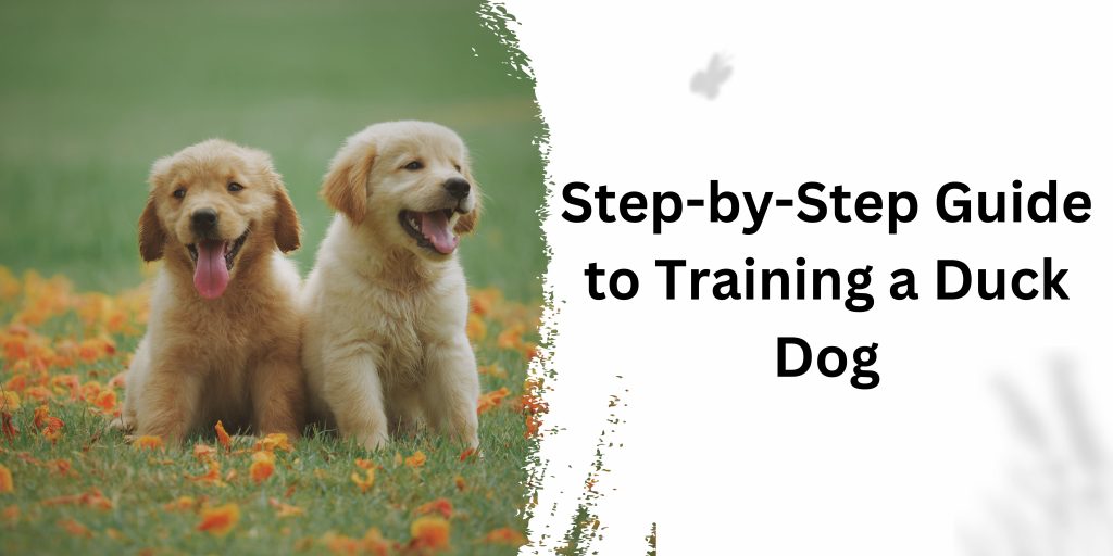 Guide to Training a Duck Dog