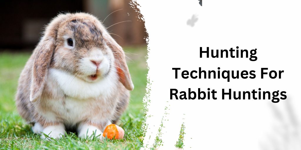 Hunting Techniques For Rabbit Huntings