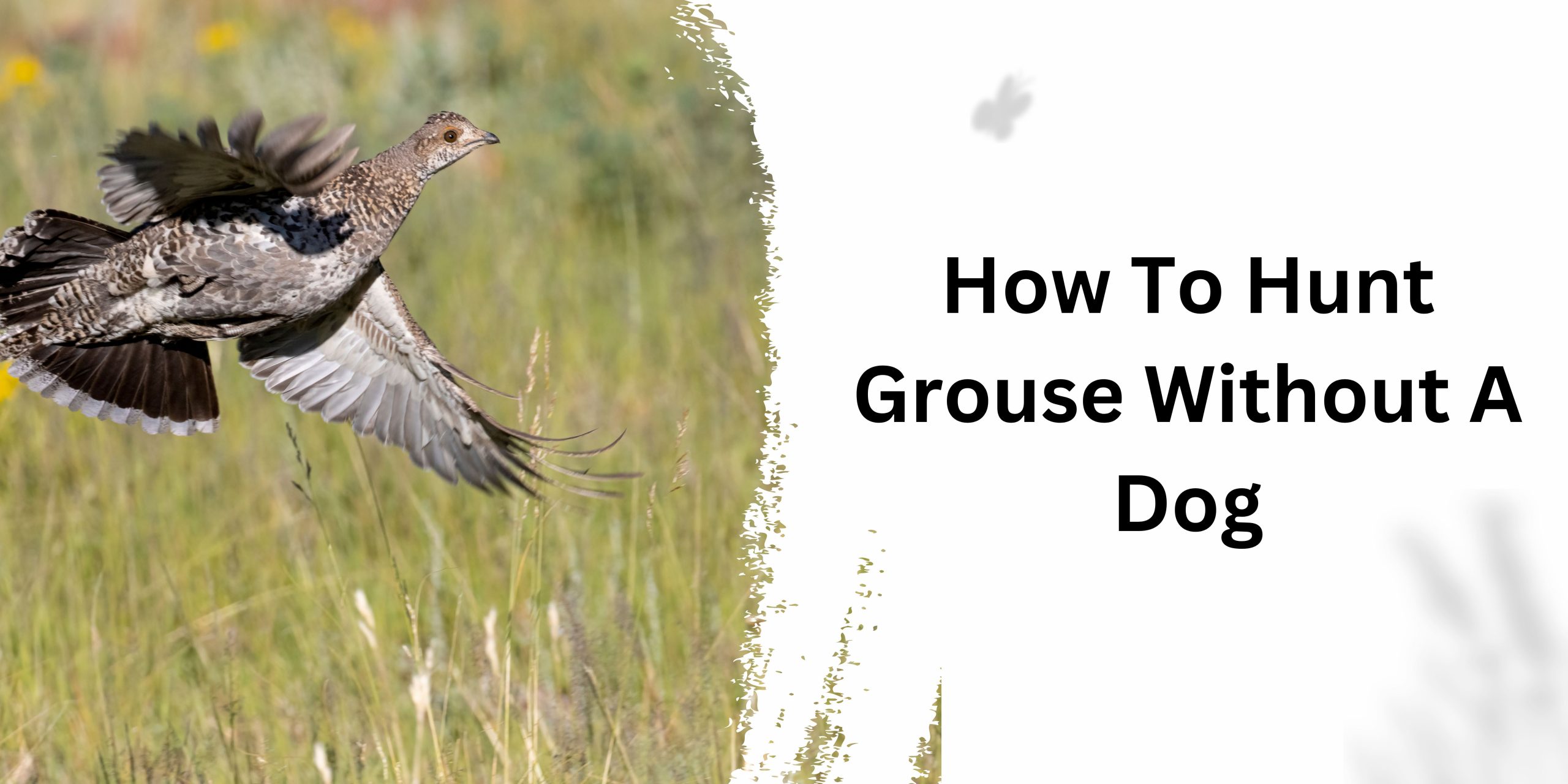 How To Hunt Grouse Without A Dog