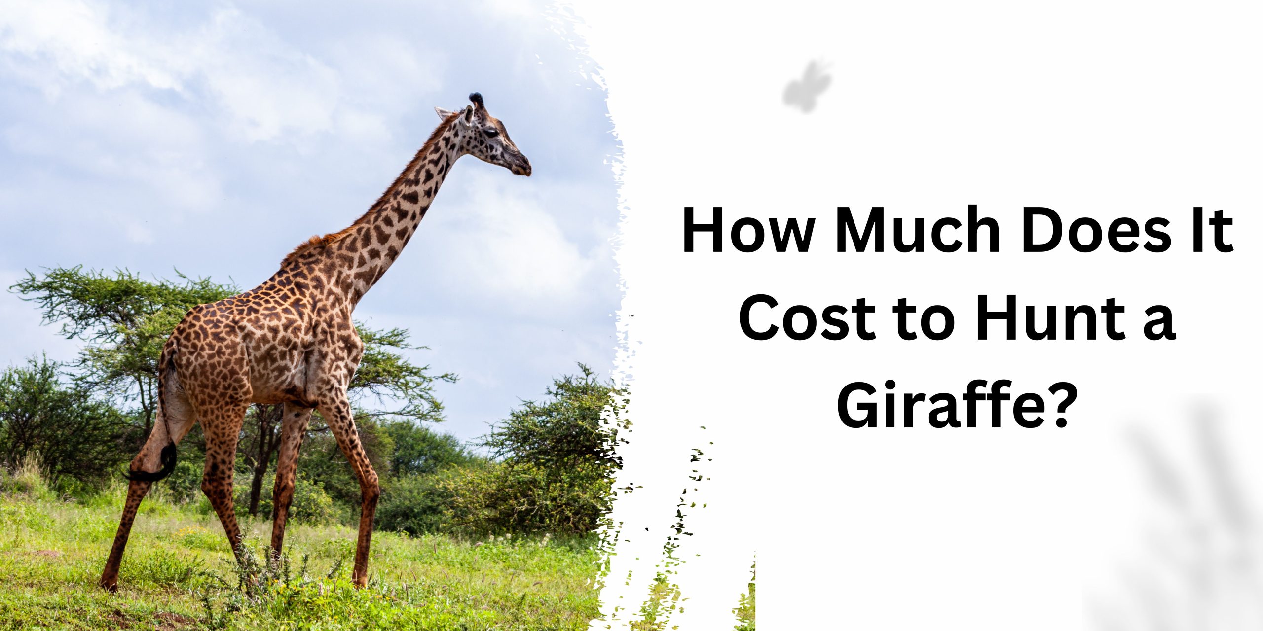 How Much Does It Cost to Hunt a Giraffe