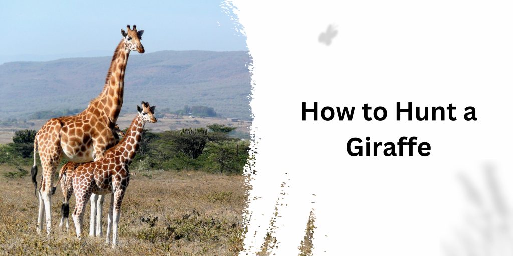 How to Hunt a Giraffe