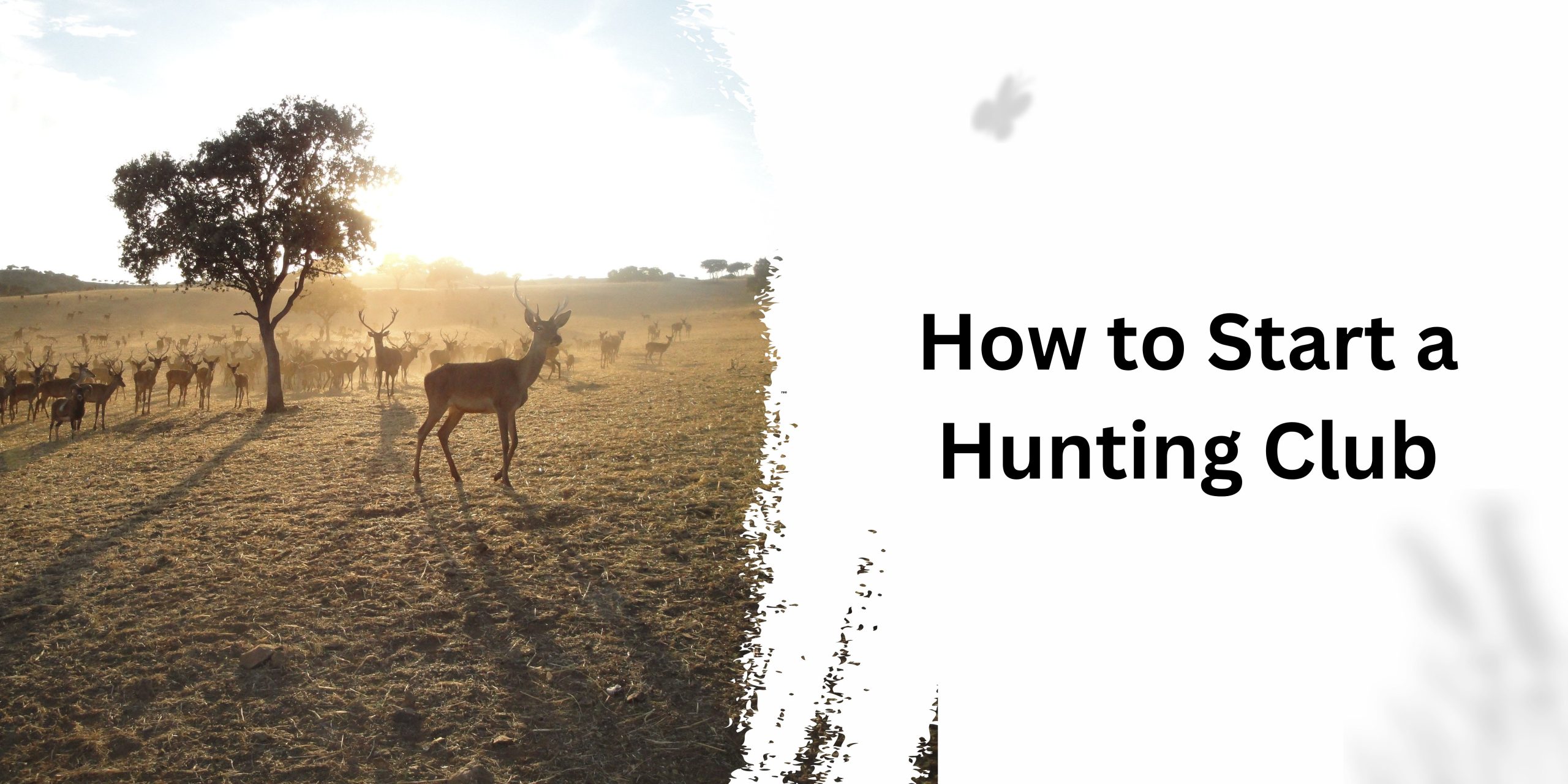 How to Start a Hunting Club