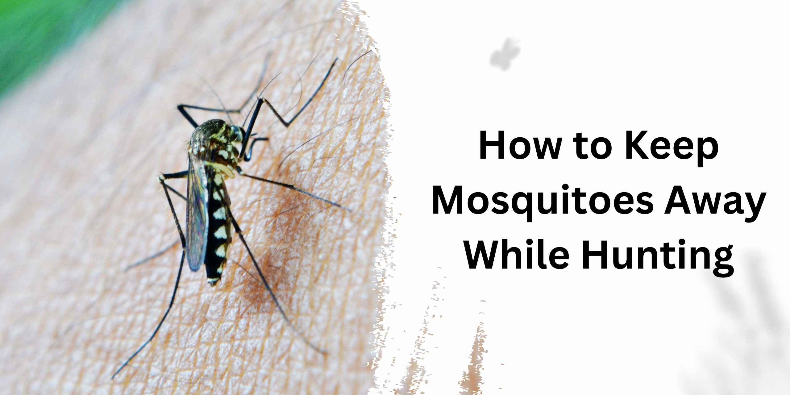 How to Keep Mosquitoes Away While Hunting