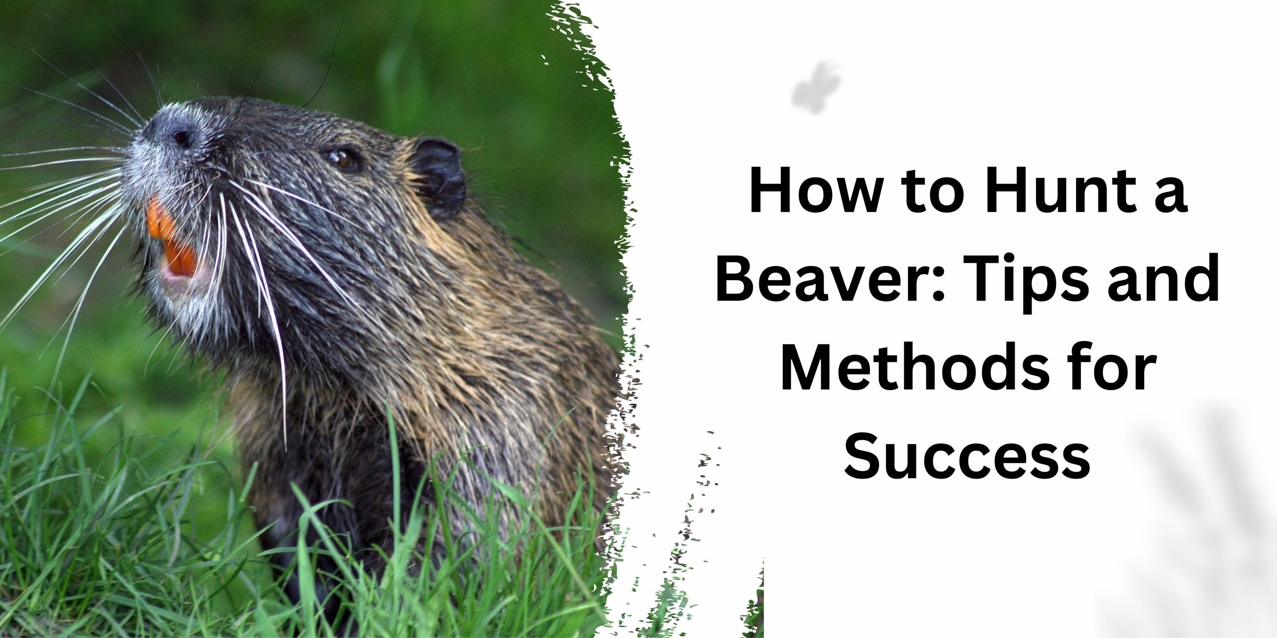 How to Hunt a Beaver