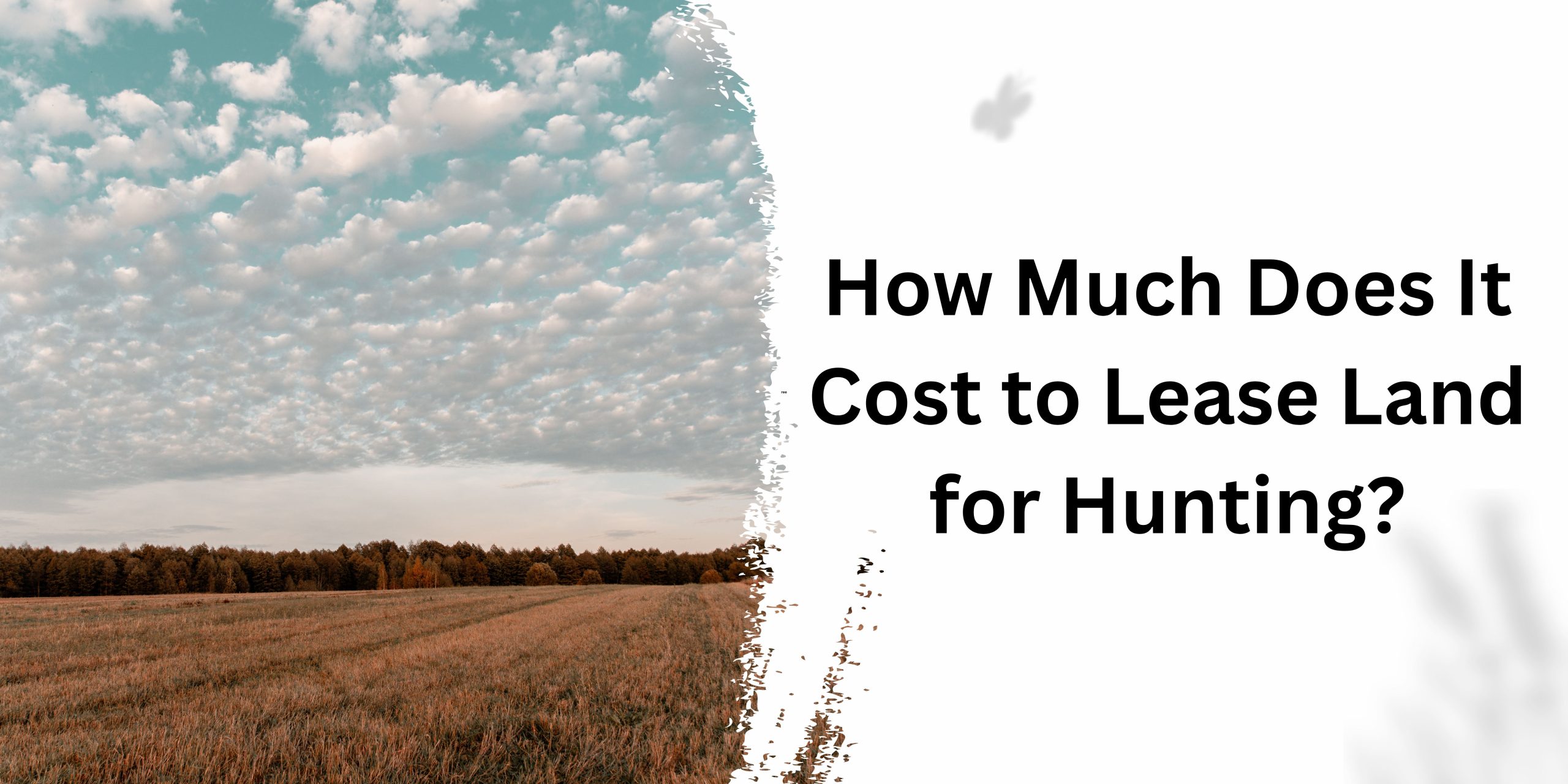 How Much Does It Cost to Lease Land for Hunting